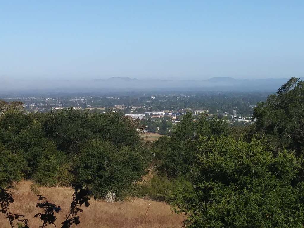 Taylor mountain regional park | 3870-3400 Petaluma Hill Rd, Santa Rosa, CA 95404, USA