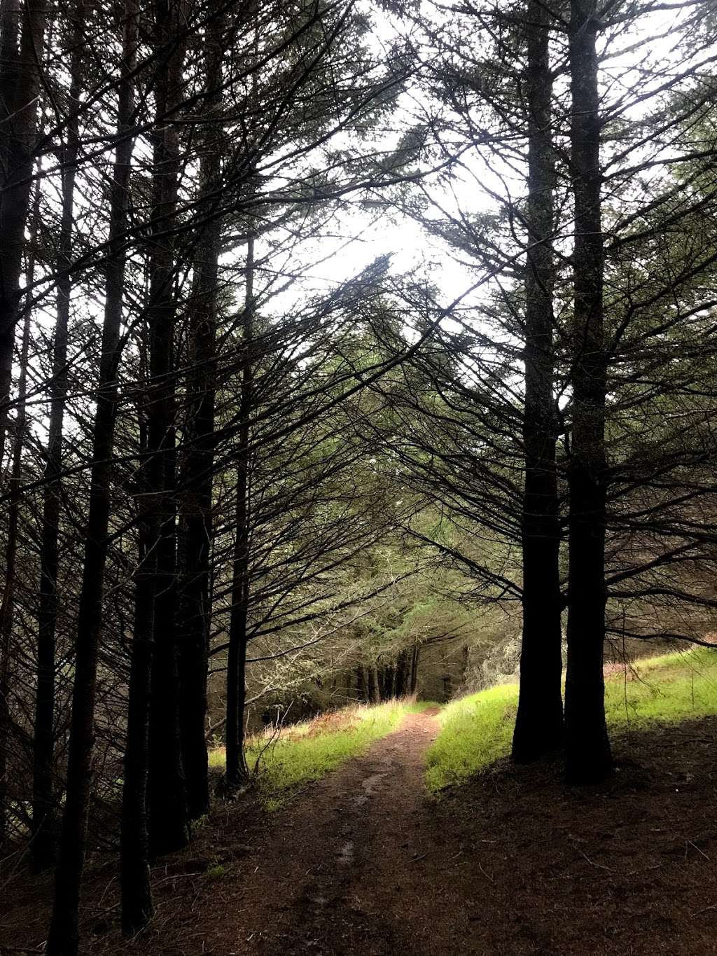 Mount Wittenberg Peak | Point Reyes Station, CA 94956, USA