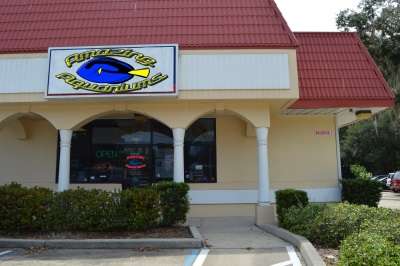 SeaWaterDirect | 2330 S Nova Rd, South Daytona, FL 32119 | Phone: (386) 760-3082