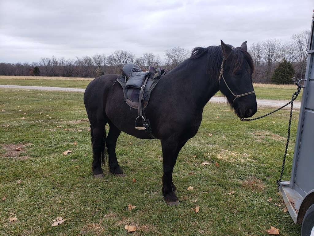 Hillsdale State Park Equestrian Camp | Paola, KS 66071