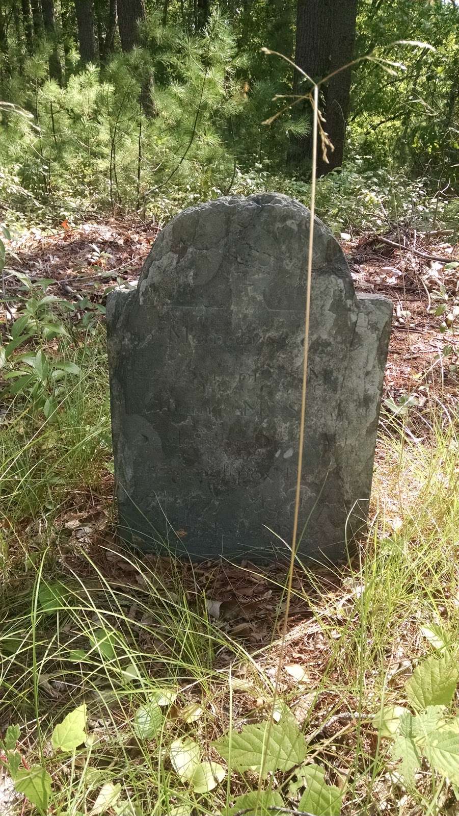 Smallpox Cemetery | Soule St, Middleborough, MA 02346, USA