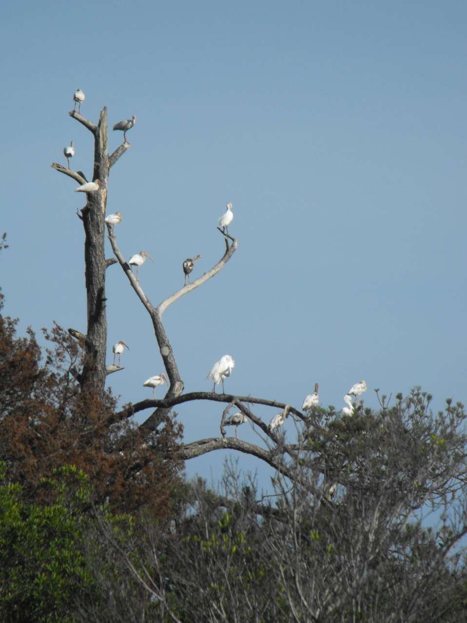 Davis Hill State Park | Cleveland, TX 77327, USA