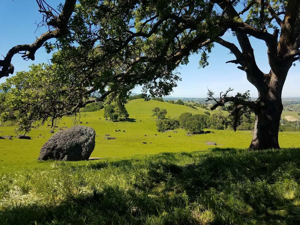 Browns Valley Opens Space Preserve | Vacaville, CA 95688