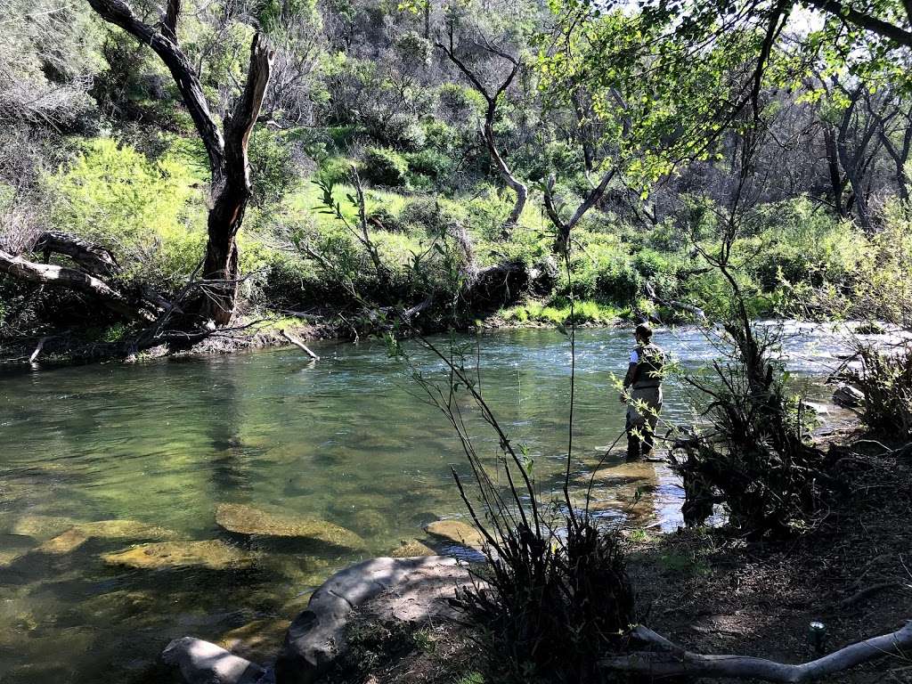 UC Davis - Stebbins Cold Canyon Natural Reserve | 24875 CA-128, Winters, CA 95694, USA