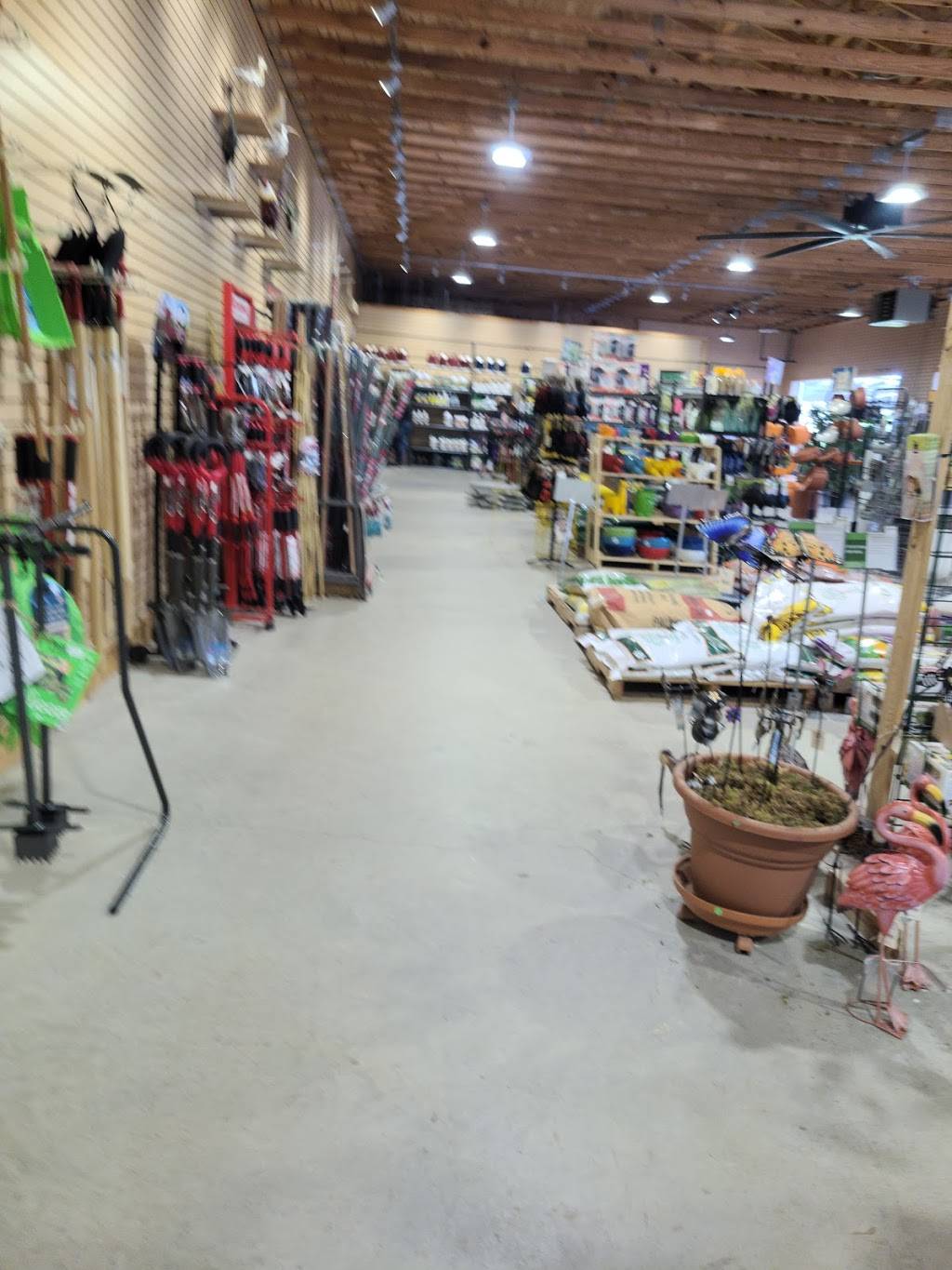 Calloways Nursery | 311 E Debbie Ln, Mansfield, TX 76063, USA | Phone: (682) 422-0272