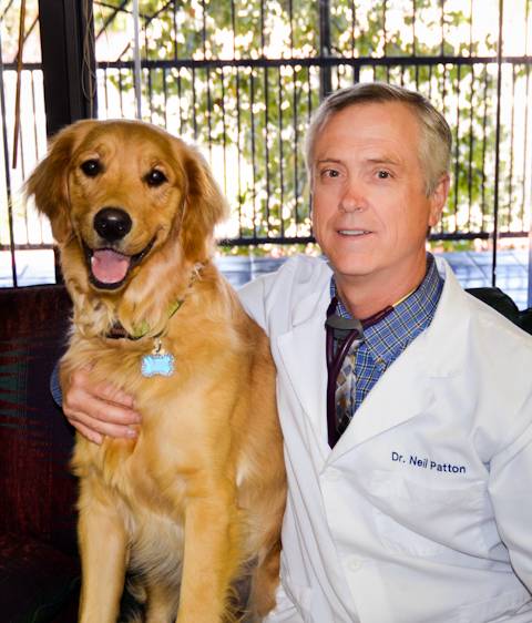 Rainbow Animal Hospital | 244 S Rainbow Blvd, Las Vegas, NV 89145, USA | Phone: (702) 363-1300