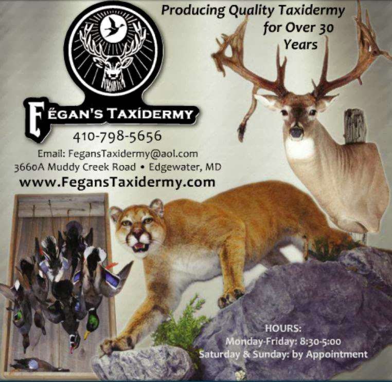 Fegans Taxidermy | 3660 Muddy Creek Rd, Edgewater, MD 21037, USA | Phone: (410) 798-5656