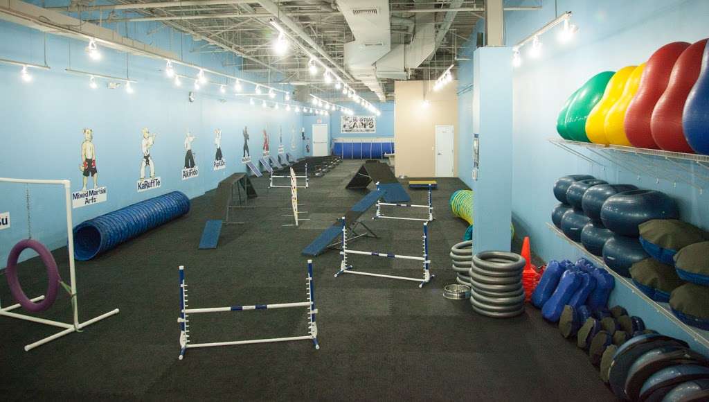 The Martial ARFS Dog Training & Fitness Center | 251 Voice Rd, Carle Place, NY 11514, USA | Phone: (516) 280-8331