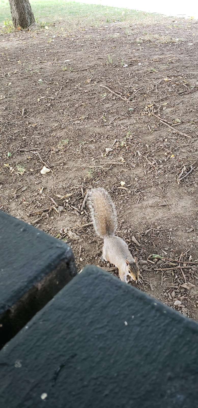 Red Hook Park | Bay St, Brooklyn, NY 11231, USA | Phone: (212) 639-9675 Red Hook Park | Bay St, Brooklyn, NY 11231, USA | Phone: (212) 639-9675