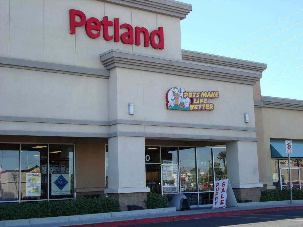 Petland Henderson | 510 Marks St #120, Henderson, NV 89014 | Phone: (702) 454-7387