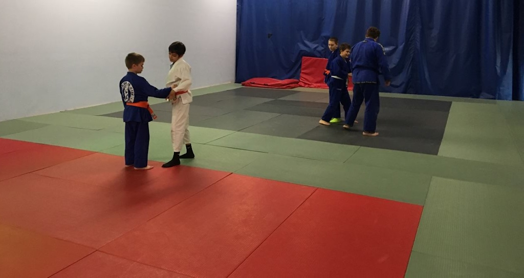 Jiu-Jitsu System | 260 Geiger Rd, Philadelphia, PA 19115 | Phone: (267) 338-9200