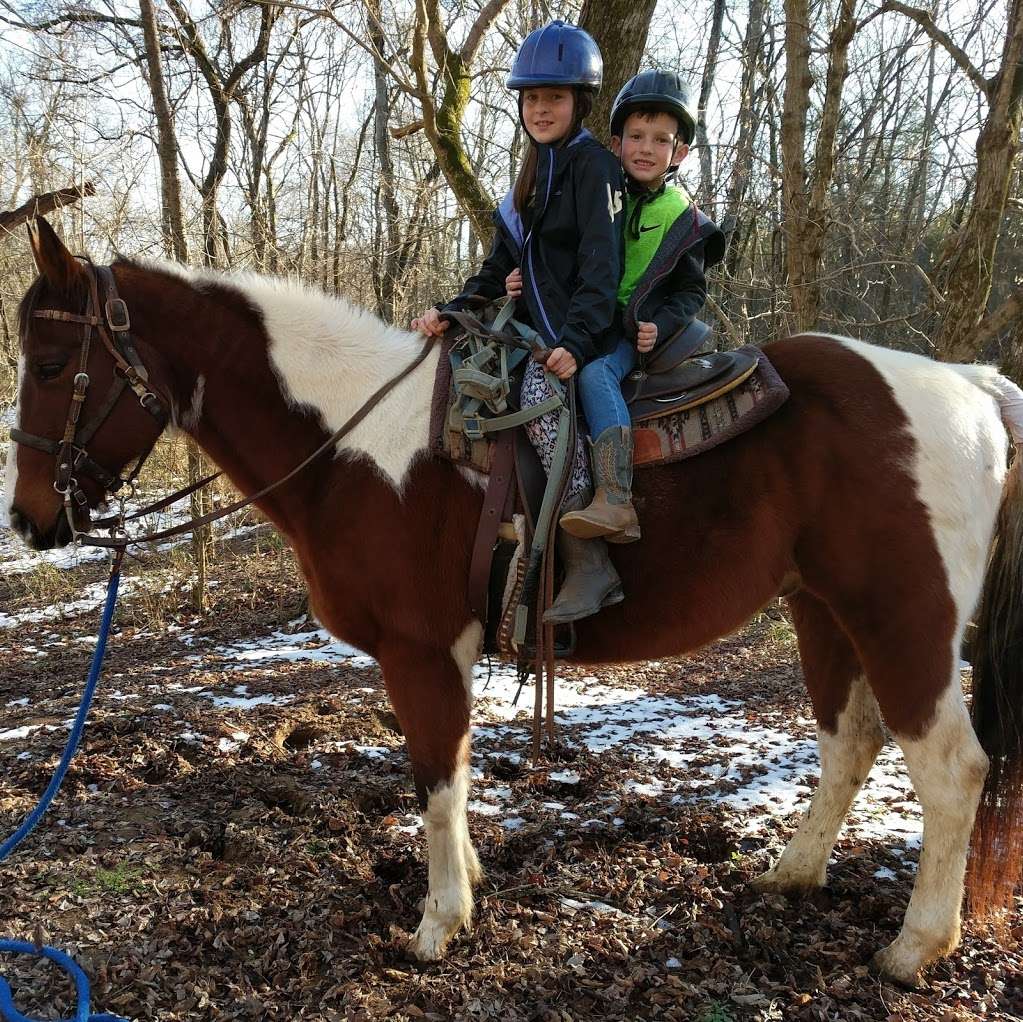 Diamond B Stables | 6050 Rocky River Rd, Concord, NC 28025 | Phone: (980) 521-5297