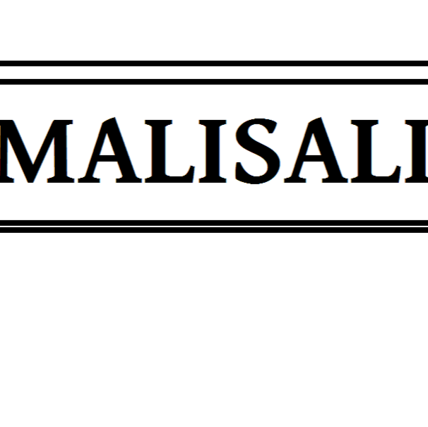 malisali.com | 551 Marion Ave, Norristown, PA 19403, USA | Phone: (215) 237-8033