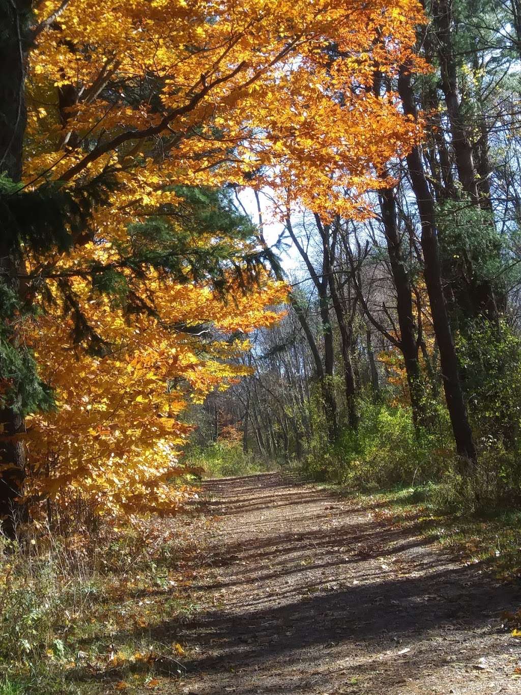 John J. Donovan Reservation & Sagamore Hill Conservation Area | 473 Sagamore St, South Hamilton, MA 01982, USA