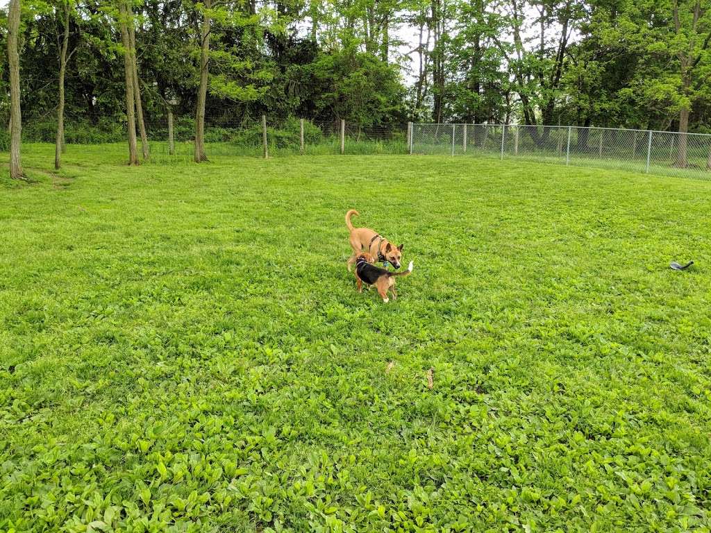 Central Park County Dog Park | Collins Rd, Morris Plains, NJ 07950, USA | Phone: (973) 326-7600