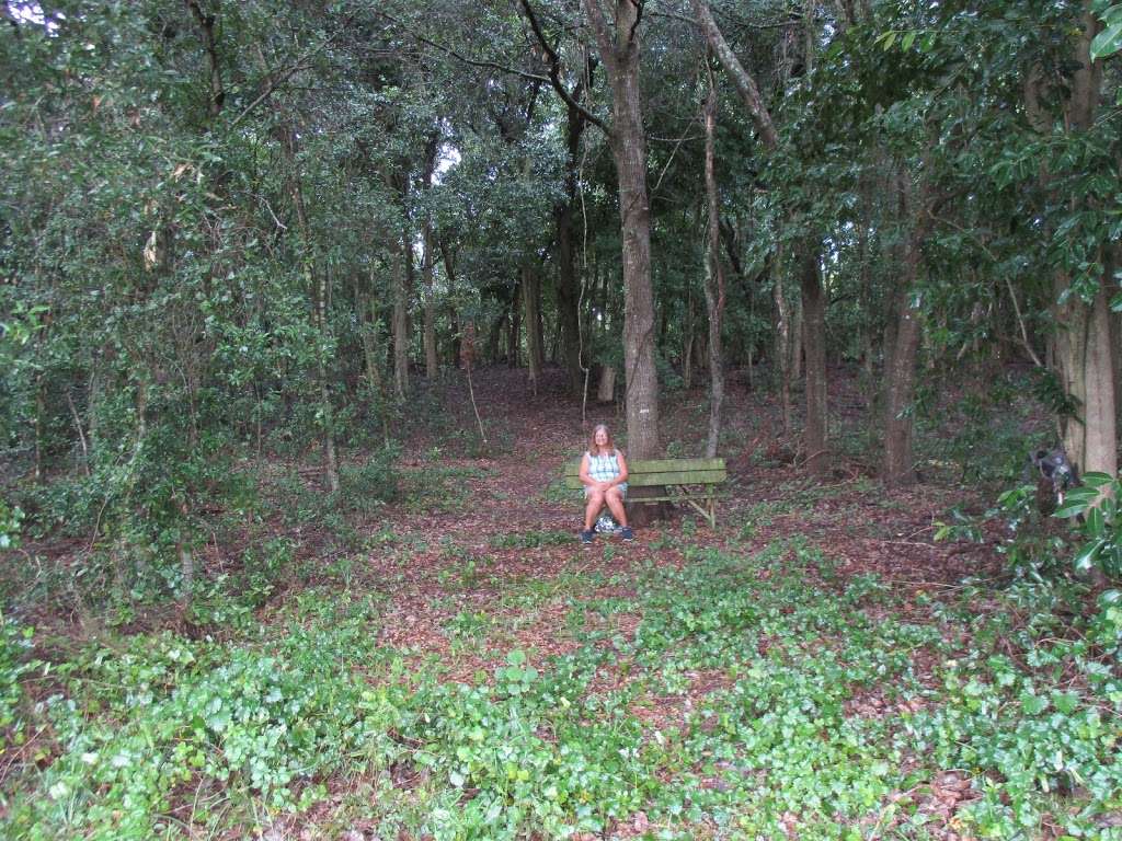 Barbara B. Pedersen Wildlife Preserve | 6609 N Scenic Hwy, Lake Wales, FL 33898, USA | Phone: (863) 678-1237