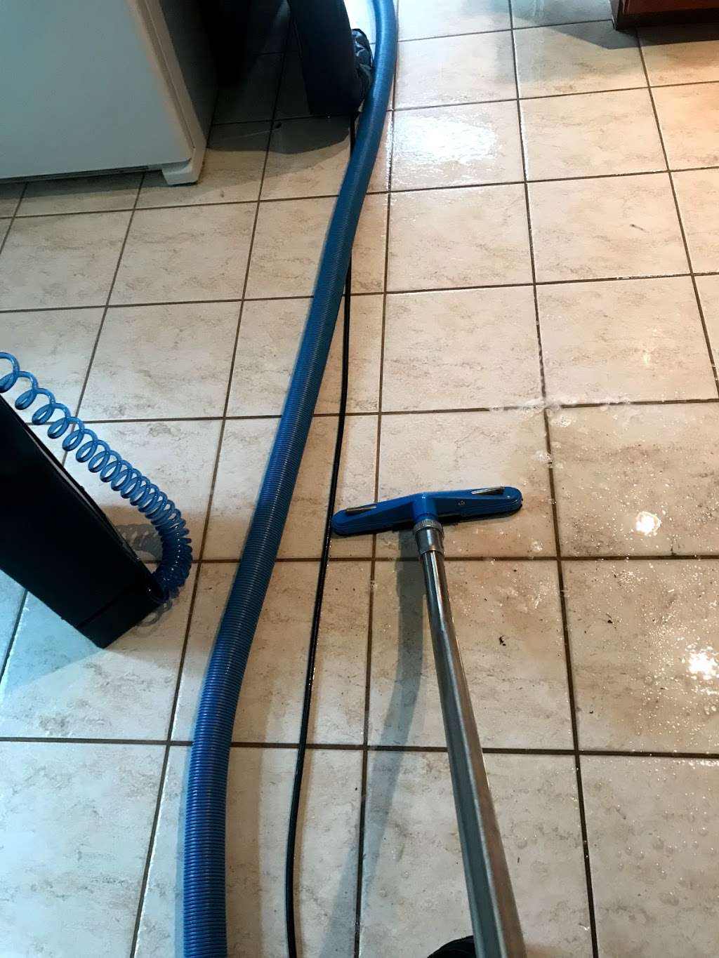 Unique Steam Clean | 1407 Dogwood Cir, Blue Bell, PA 19422, USA | Phone: (484) 868-2621