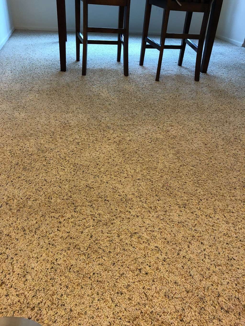 Pro Clean | 2119 Deerpark Dr, San Diego, CA 92110, USA | Phone: (619) 275-4643