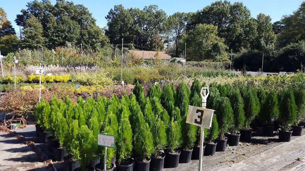 Oakdale Greenhouses, LLC | 5626 Statesville Rd, Charlotte, NC 28269, USA | Phone: (704) 596-4052