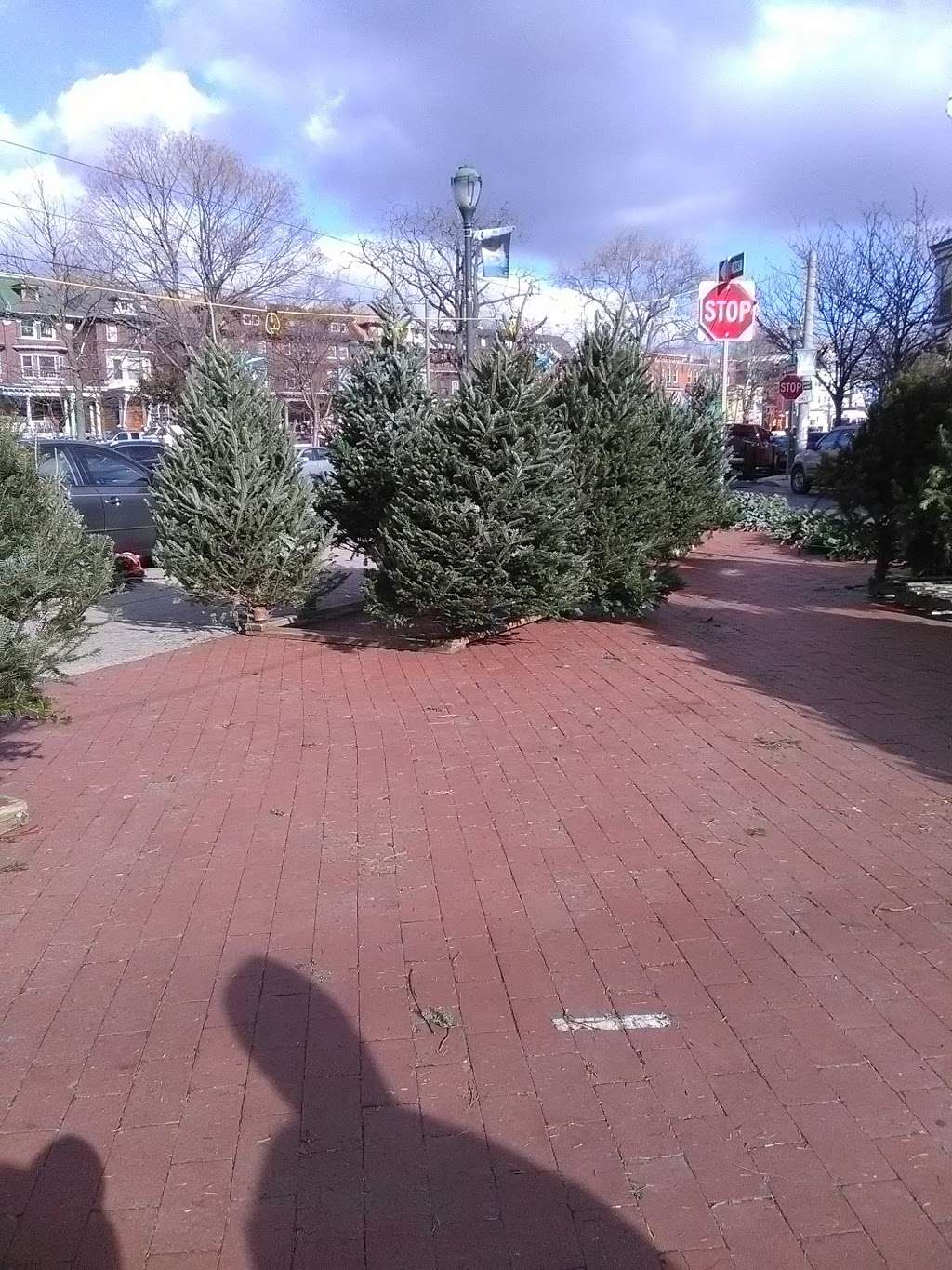 Curtis Christmas Tree Stand | 703-713 S 50th St, Philadelphia, PA 19143, USA | Phone: (215) 459-8756