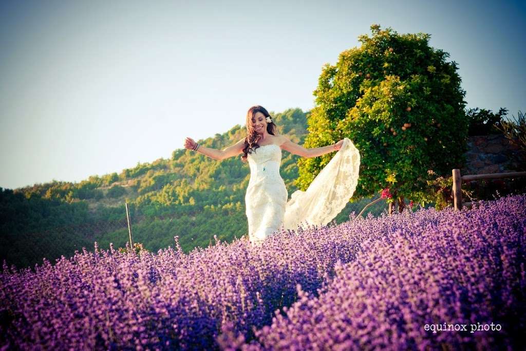 Keys Creek Lavender Farm | 12460 Keys Creek Rd, Valley Center, CA 92082, USA | Phone: (760) 742-3844