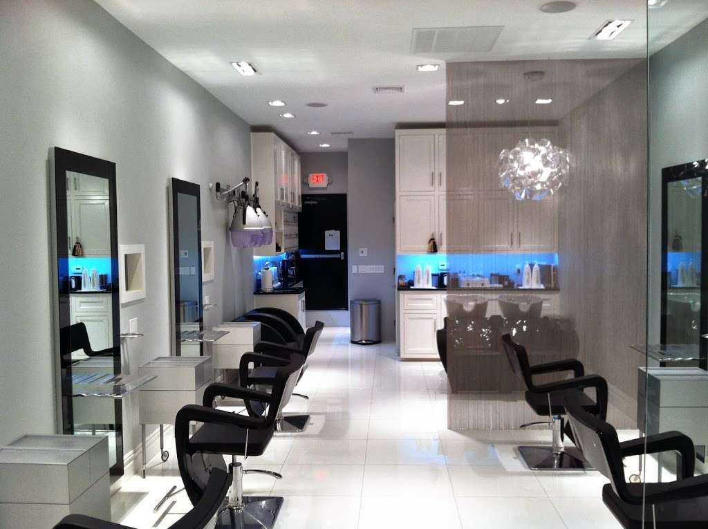 Alma Salon | 110 Fifth Ave, Pelham, NY 10803, USA | Phone: (914) 738-3848