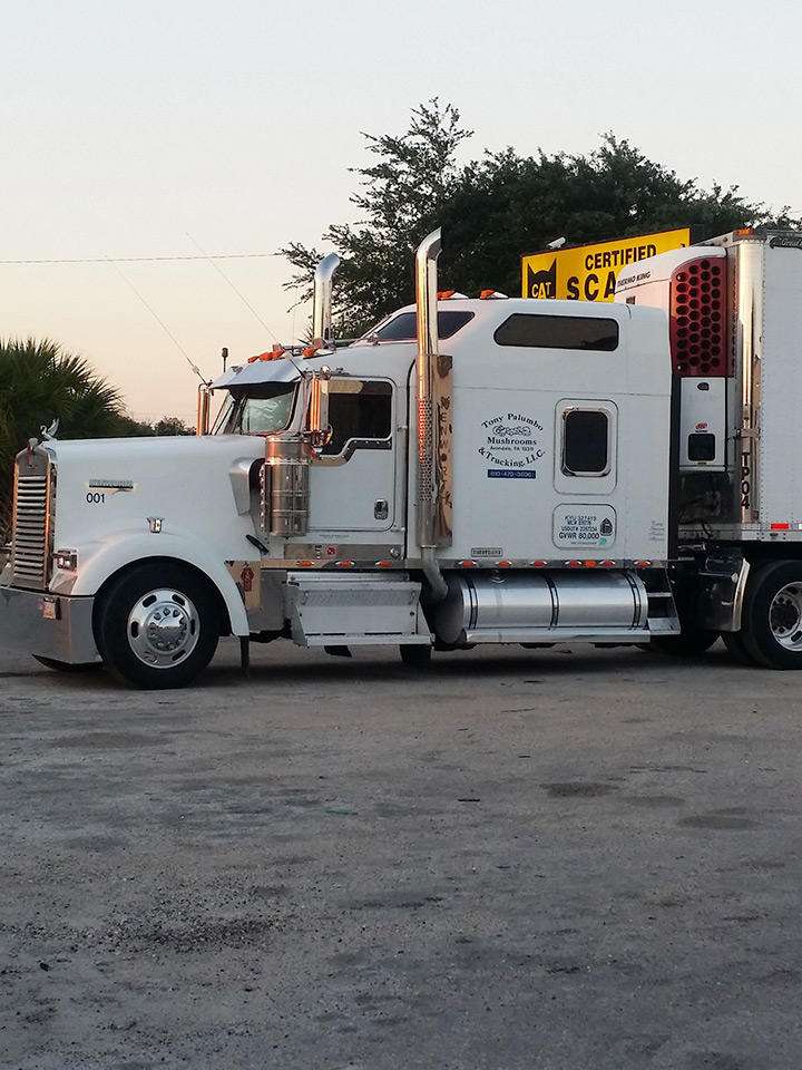 Big Papas Truck & Trailer Repair | 470 Lytton Cir, Orlando, FL 32824 | Phone: (321) 303-6118
