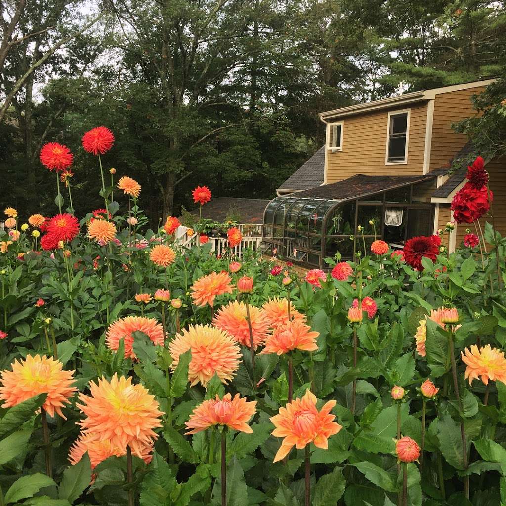 Ho.me Grown Gardens | 4 Lori Ln, Mendon, MA 01756, USA