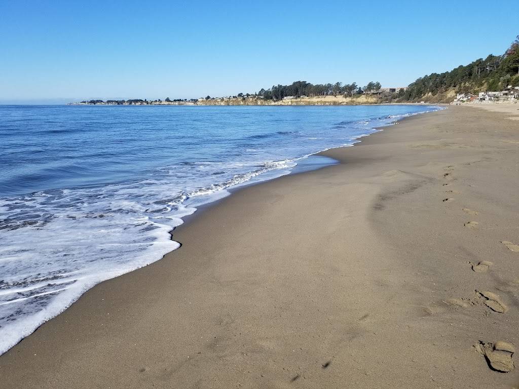 New Brighton State Park | 1598, 1500 Park Ave, Capitola, CA 95010, USA