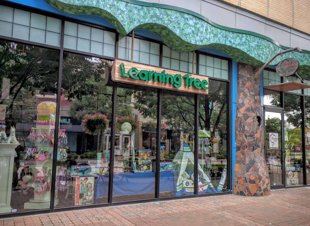 The Learning Tree | 11536 Ash St, Leawood, KS 66211, USA | Phone: (913) 498-1234