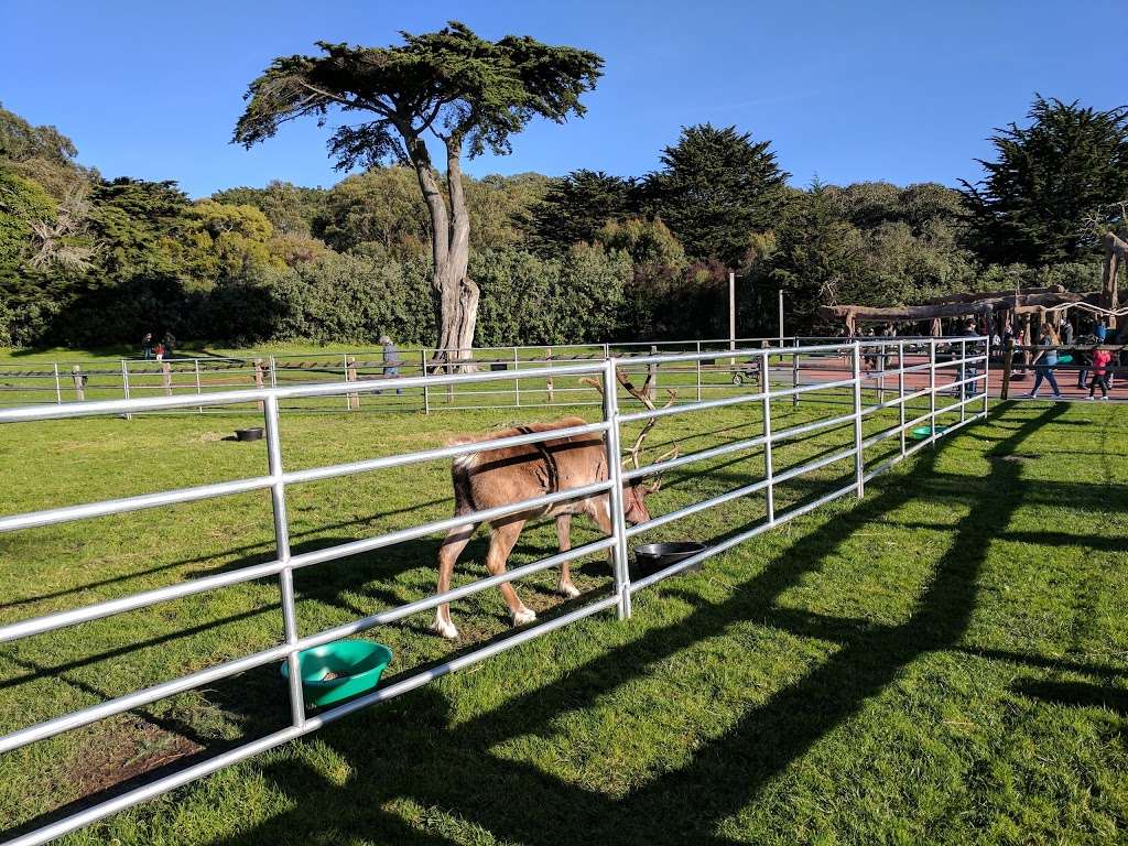 San Francisco Zoo Sloat Blvd Great Highway San Francisco Ca Usa