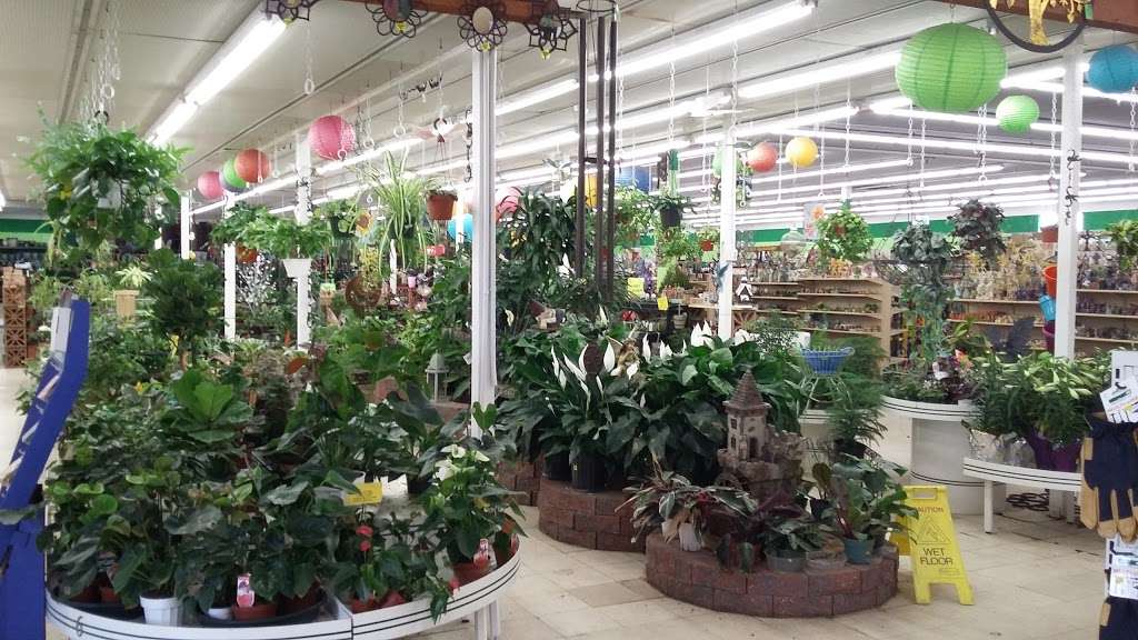 OTooles Garden Center | 9400 Wadsworth Pkwy, Broomfield, CO 80021 | Phone: (303) 423-8361