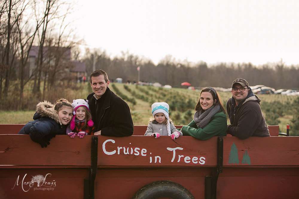 Cruise In Trees Christmas Tree Farm | 4715 S 400 E, Cutler, IN 46920, USA | Phone: (765) 566-2350