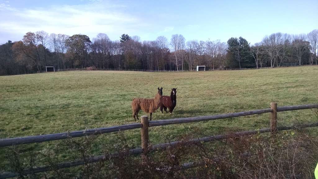 Sudbury Valley Trustees- Hop Brook Natural Area | 933 Grove St, Framingham, MA 01701, USA | Phone: (978) 443-5588