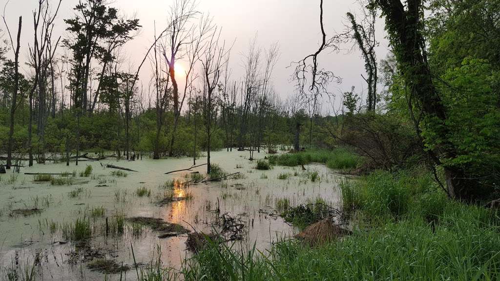 Spicer Lake Nature Preserve | New Carlisle, IN 46552, USA | Phone: (574) 654-3155