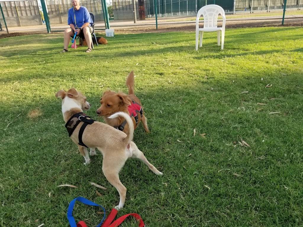 PetSmart Dog Park | 6655 N 23rd Ave, Phoenix, AZ 85015, USA | Phone: (602) 262-6971