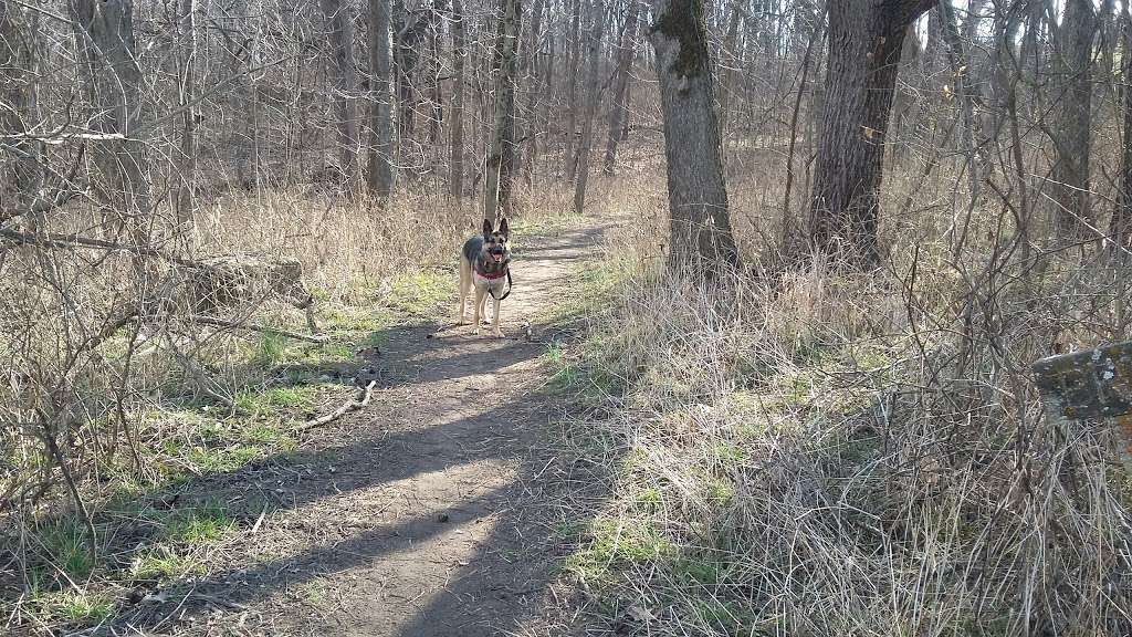 Leash Free Dog Run | Wyandotte County Lake Park Rd, Kansas City, KS 66109, USA | Phone: (913) 573-8327