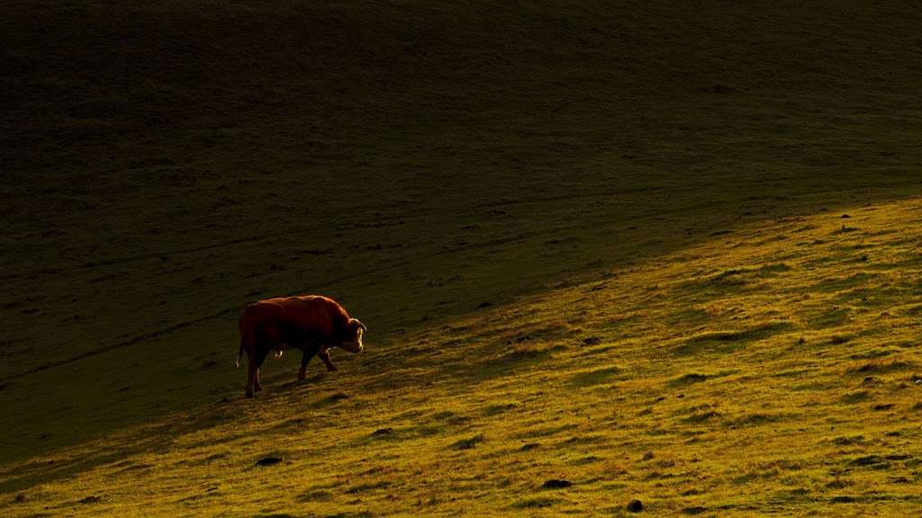 Sierra Open Space Preserve Parking | 5341 Sierra Rd, San Jose, CA 95132, USA | Phone: (408) 224-7476