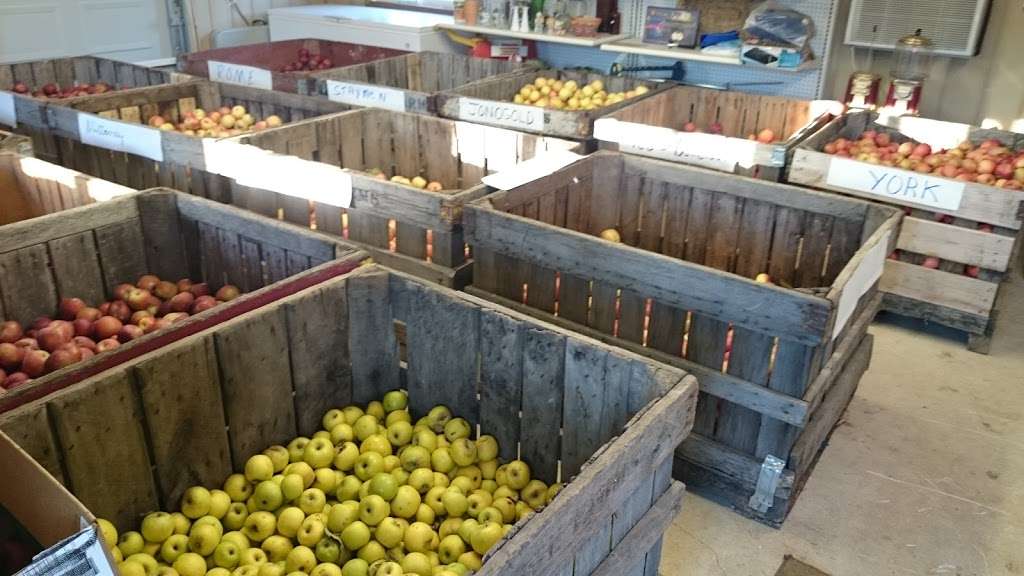 Roy’s Farm Market | 64 Old Hollow Rd, Sperryville, VA 22740, USA | Phone: (540) 987-8636 Roy’s Farm Market | 64 Old Hollow Rd, Sperryville, VA 22740, USA | Phone: (540) 987-8636