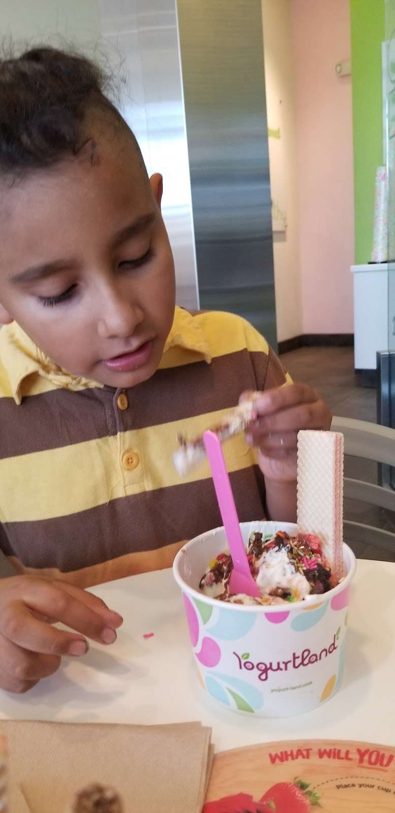 Yogurtland | 11215 Long Beach Blvd., 1007, Lynwood, CA 90262, USA | Phone: (310) 639-1465