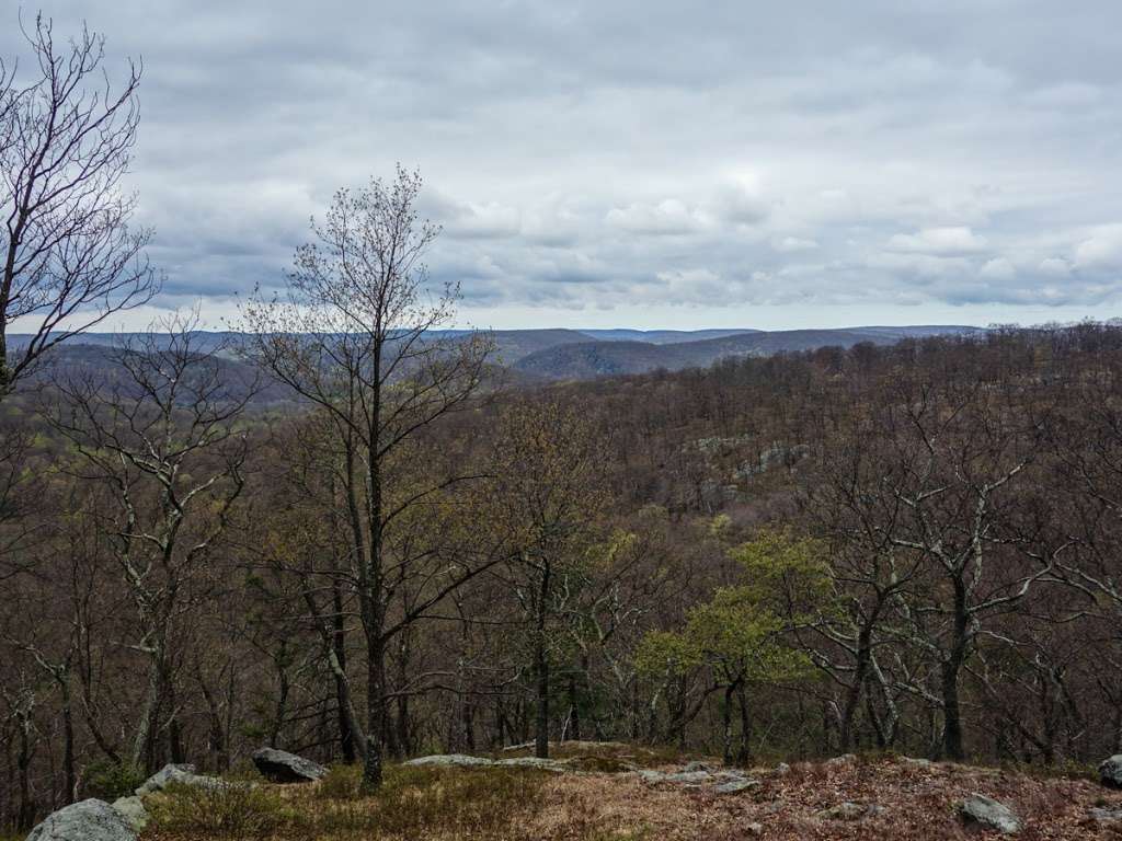 White Bar Trail (white markers) | Tuxedo, NY 10975