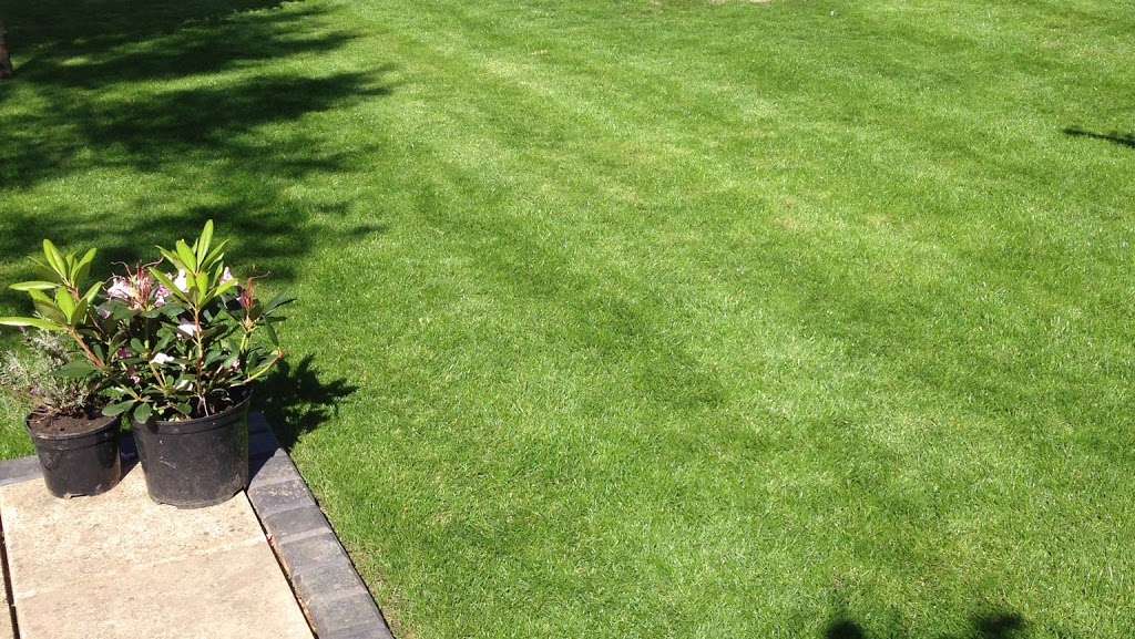 Greensleeves Lawn Care Tunbridge Wells | Roween, Mill Hill, Edenbridge TN8 5DQ, UK | Phone: 01732 490311