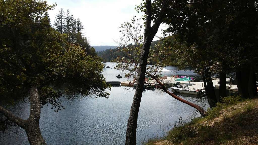 Loch Lomond Recreation Area | 100 Loch Lomond Way, Ben Lomond, CA 95005, USA | Phone: (831) 420-5320