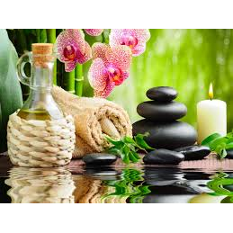 Pure Therapy Services | 106 Sussex St, South Plainfield, NJ 07080 | Phone: (908) 912-4544