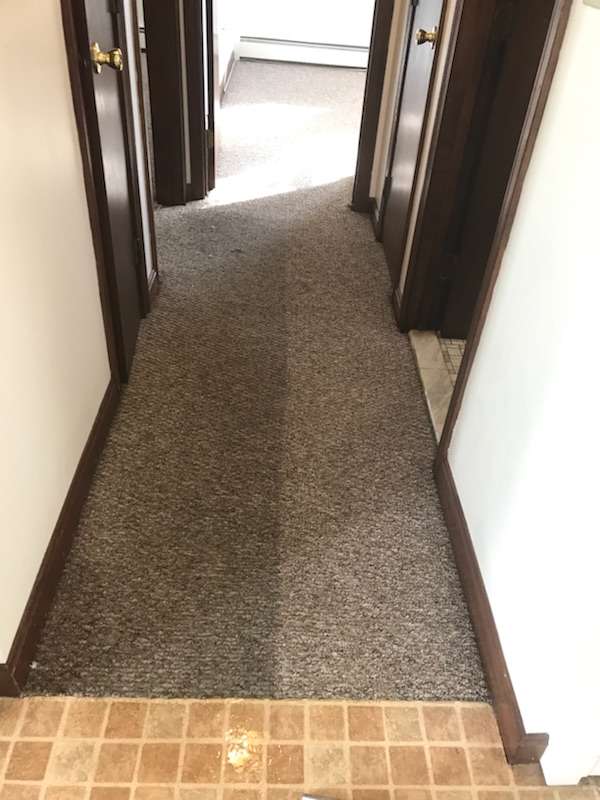 Ms. Carpet Clean | Carpet Cleaning Massachusetts | 30 Summit Rd, Saugus, MA 01906, USA | Phone: (781) 233-5800