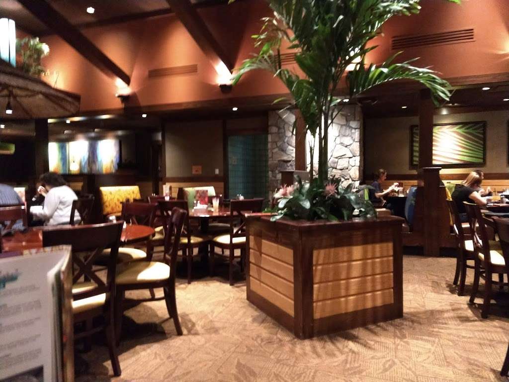 Bahama Breeze | 413 Middlesex Rd, Tyngsborough, MA 01879, USA | Phone: (978) 649-6660