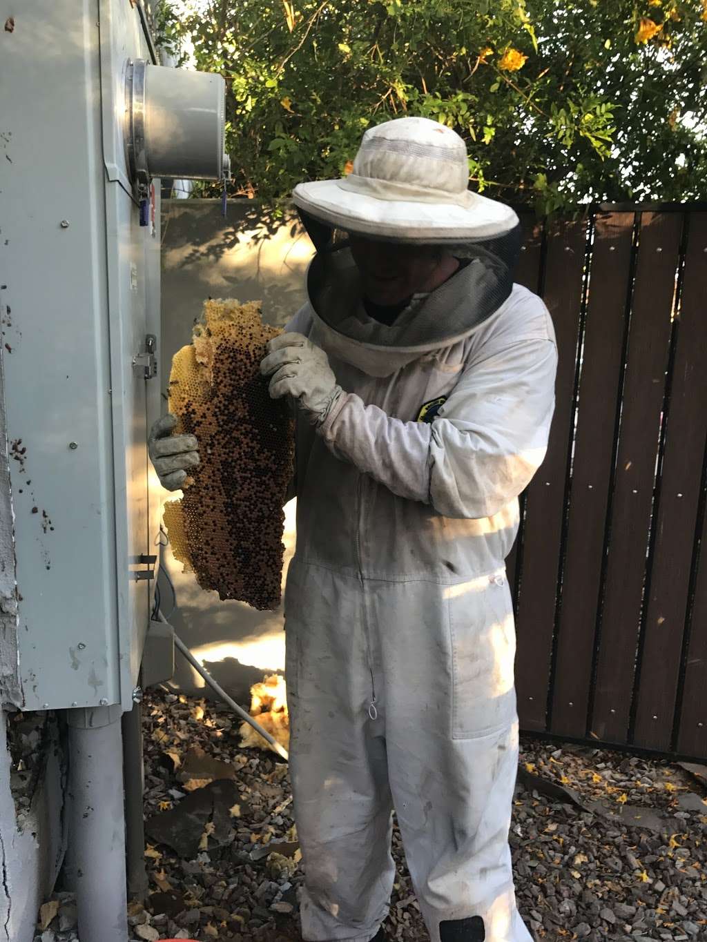 Abello Bees - Bee Removal Phoenix | 6980 E Sahuaro Dr #1092, Scottsdale, AZ 85254, USA | Phone: (480) 334-2746