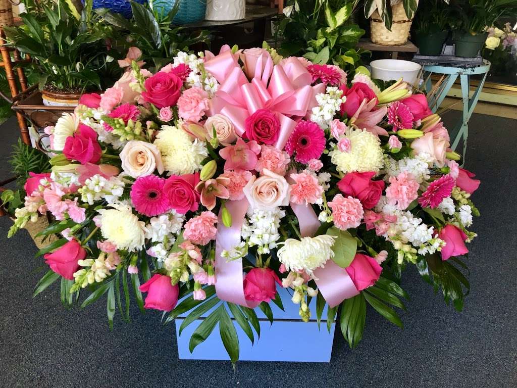 The Orchid Florist/Floreria | 6518, 11548 Northwest Fwy, Houston, TX 77092, USA | Phone: (713) 812-1807