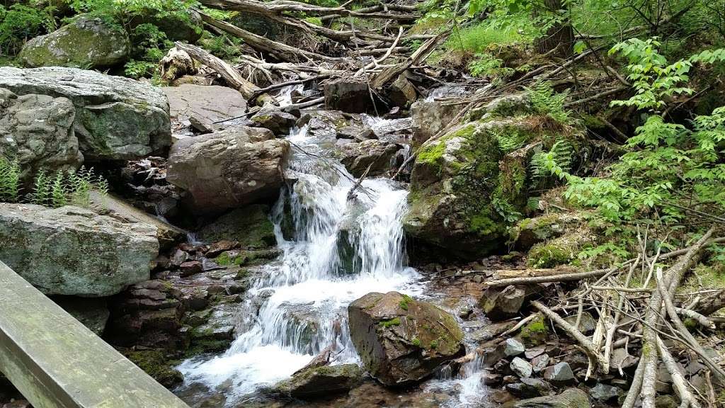 Pahaquarry Copper Mines trail | Hardwick Township, NJ 07825, USA