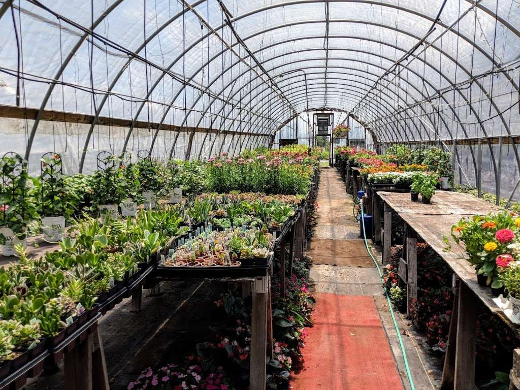 Windmill Heights Garden Center | 1901 Broad St, Culpeper, VA 22701, USA | Phone: (540) 825-2059